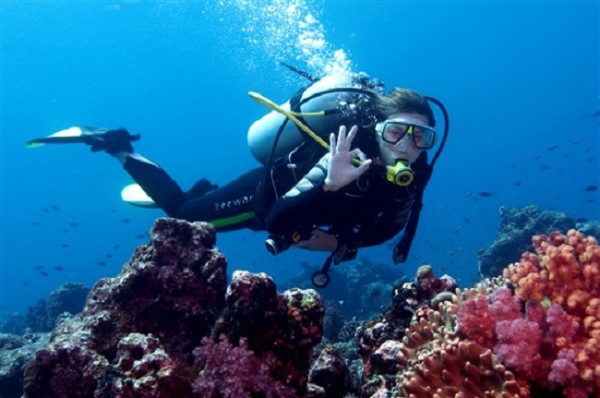 Buceo Tours - Catalina