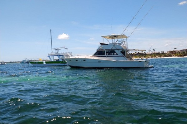 Fishing Excursion Playa Jelly Fish